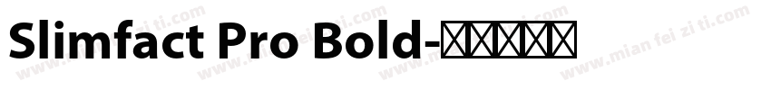 Slimfact Pro Bold字体转换